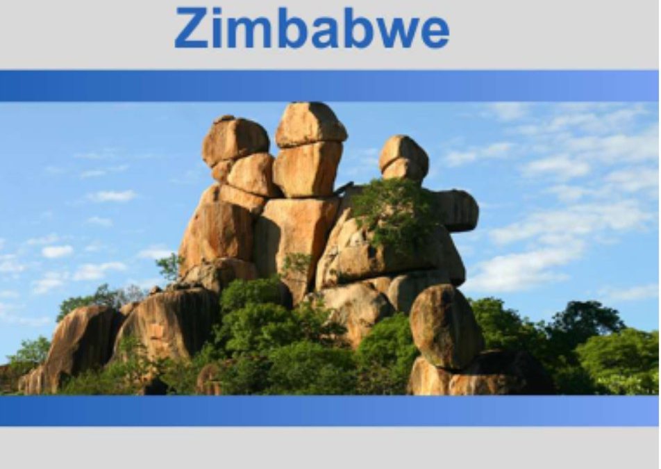 Zimbabwe Demographic and Health Survey
