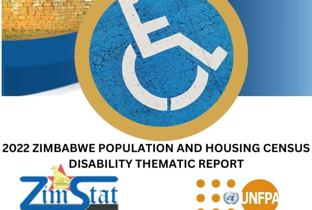 2022 PHC Disability Thematic Report