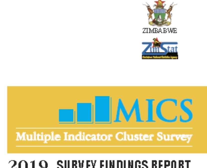 MICS 2019
