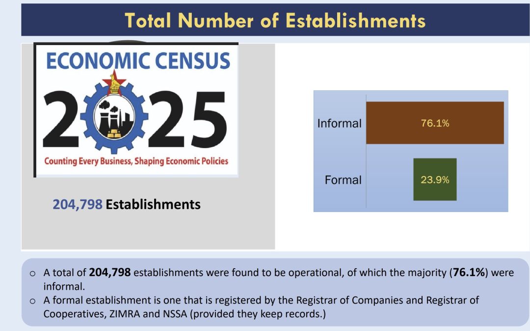 Economic Census Preliminary Report