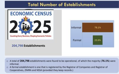 Economic Census Preliminary Report