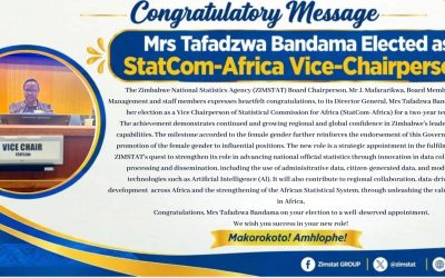 ZIMSTAT DG Elected Vice-Chairperson of StatCom